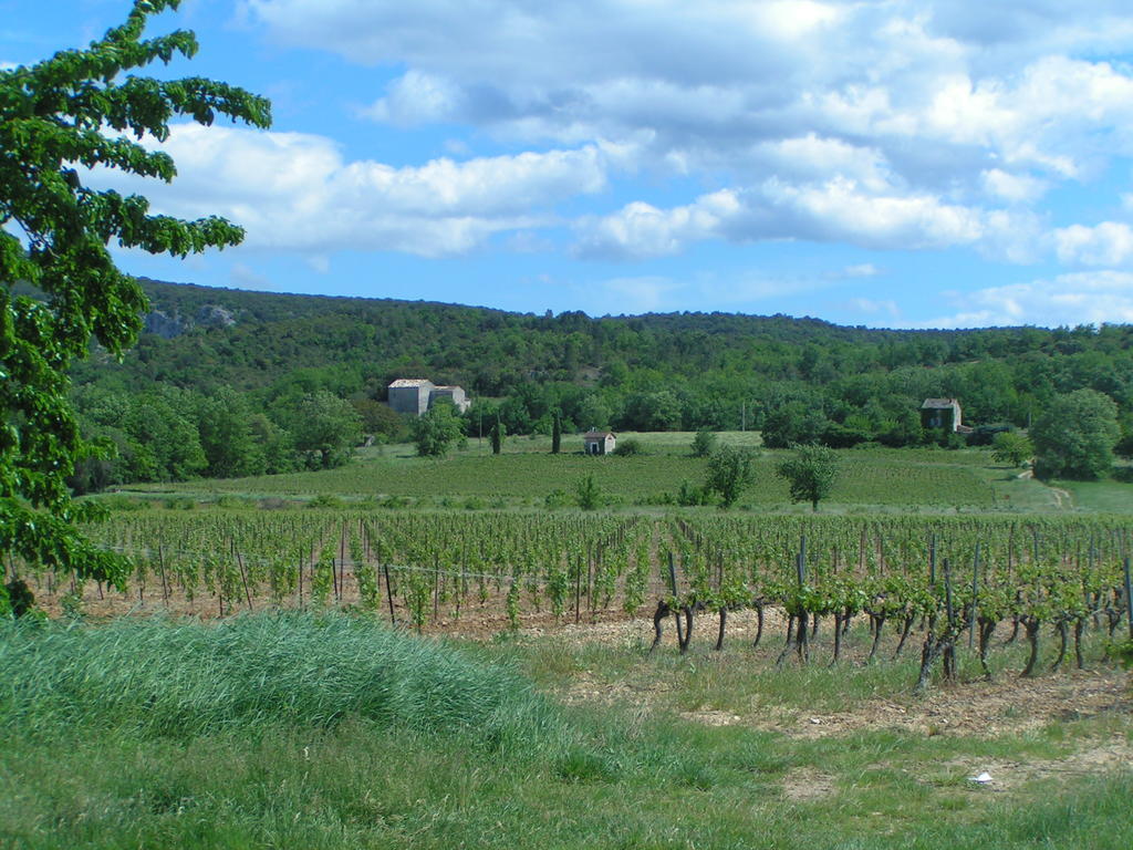 Aux Couleurs D'Ardeche Apartment วัลลงปงต์ดาร์ก ภายนอก รูปภาพ